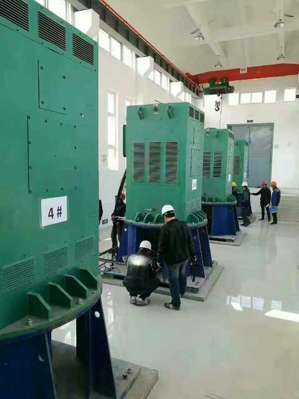 安丘某污水处理厂使用我厂的立式高压电机安装现场生产厂家