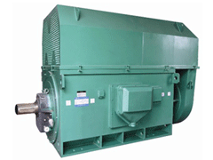安丘Y系列6KV高压电机